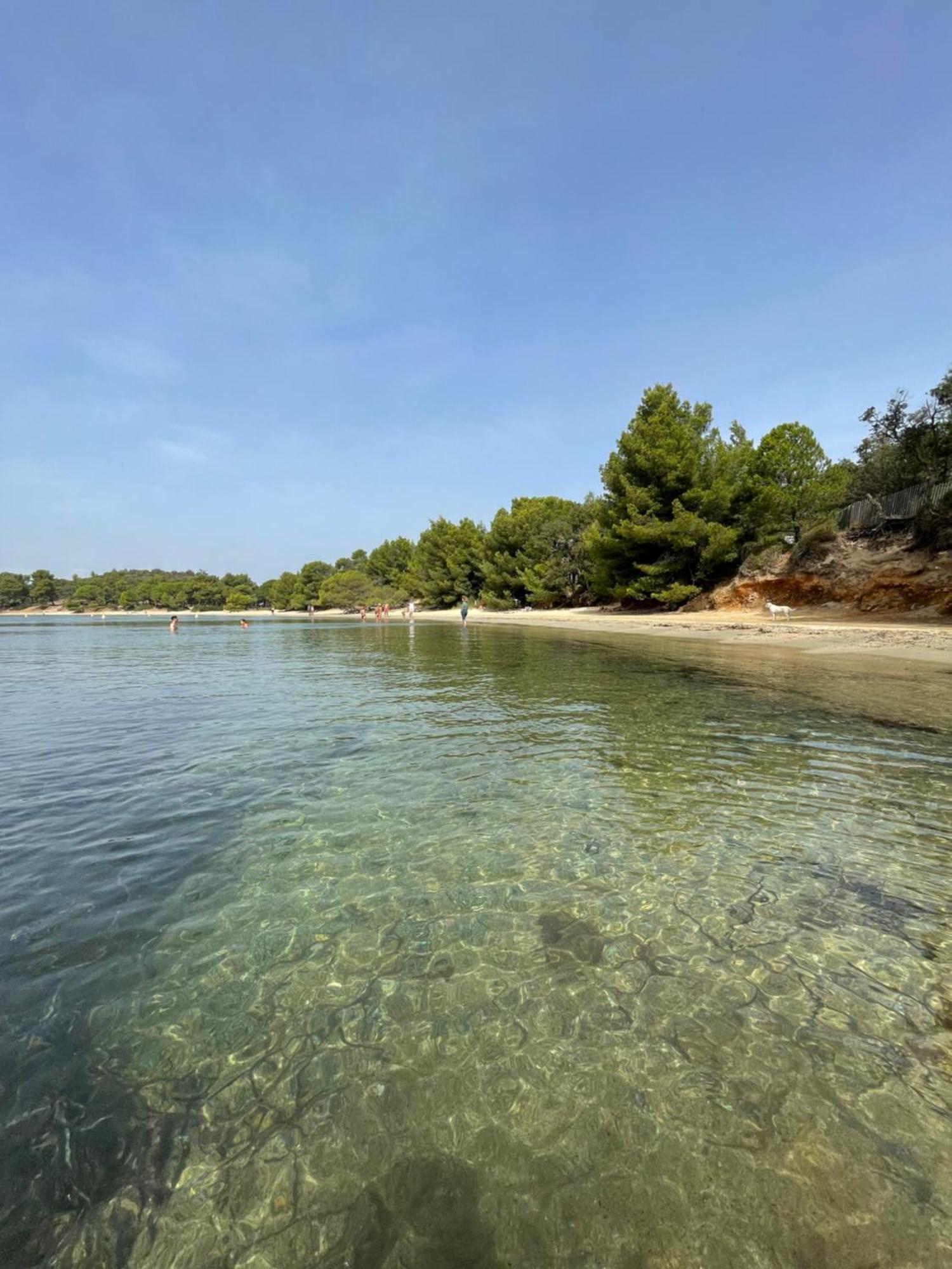 Apartment Piscine Et Tennis Inclus La Londe-les-Maures