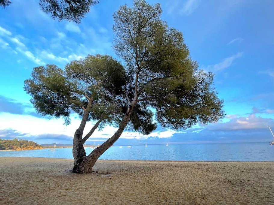 Piscine Et Tennis Inclus Appartement La Londe-les-Maures