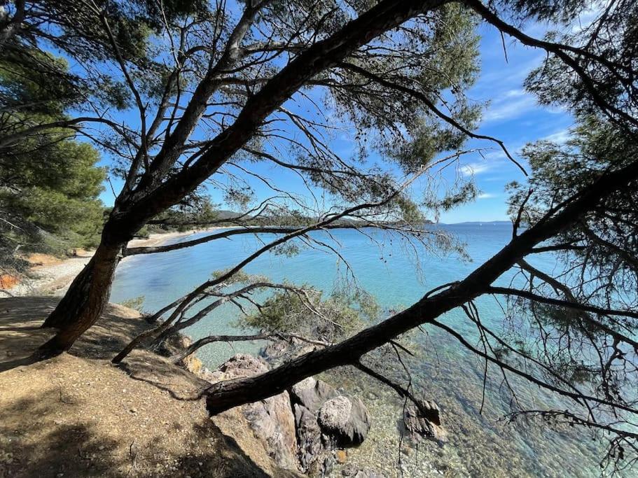 Appartamento Piscine Et Tennis Inclus La Londe-les-Maures